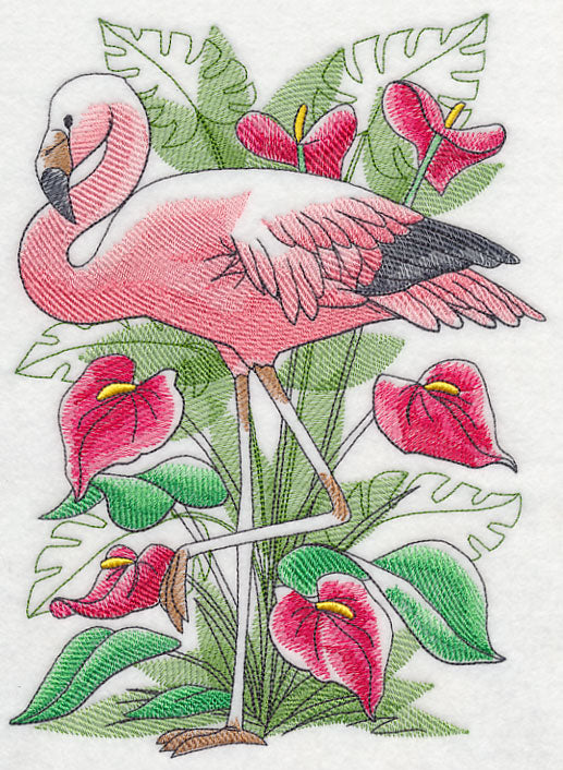 Tropical Flamingo Sketch
