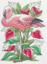 Tropical Flamingo Sketch