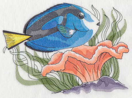 Tropical Blue Tang Sketch