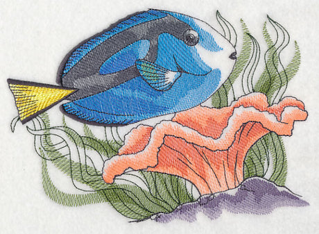 Tropical Blue Tang Sketch