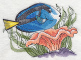 Tropical Blue Tang Sketch