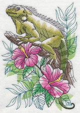 Tropical Iguana Sketch