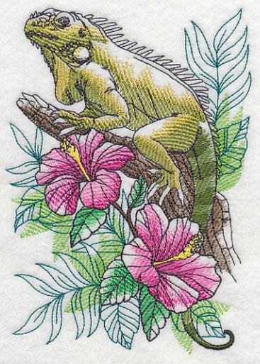 Tropical Iguana Sketch