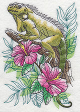 Tropical Iguana Sketch