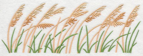 Sea Oats Border