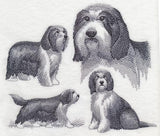 Bearded Collie Sketch