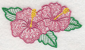 Light and Lovely Hibiscus