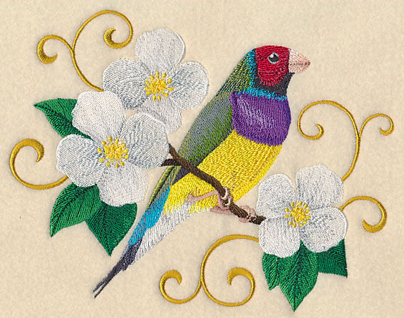 Gouldian Finch with Filigree