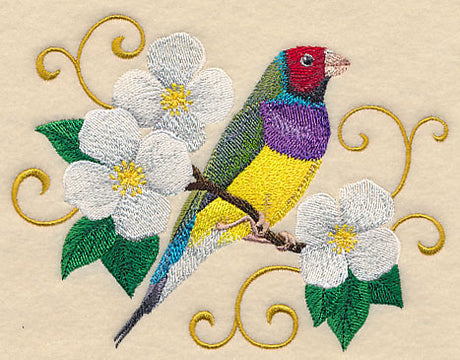 Gouldian Finch with Filigree