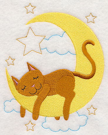 Sleepy Cat on Moon