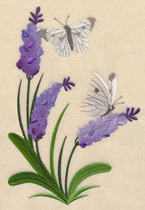 Lavender and Butterfly Spray