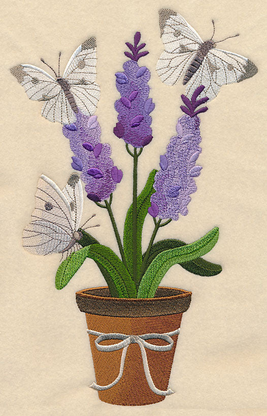 Lavender and Butterfly in Pot