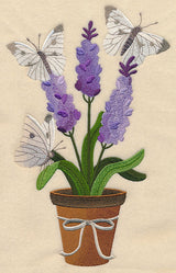 Lavender and Butterfly in Pot