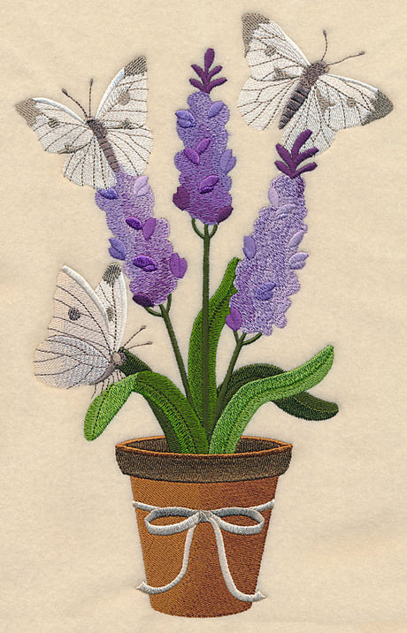 Lavender and Butterfly in Pot