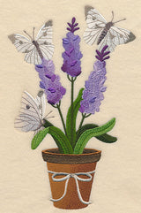 Lavender and Butterfly in Pot