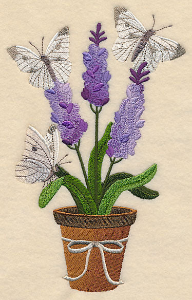 Lavender and Butterfly in Pot