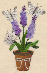 Lavender and Butterfly in Pot