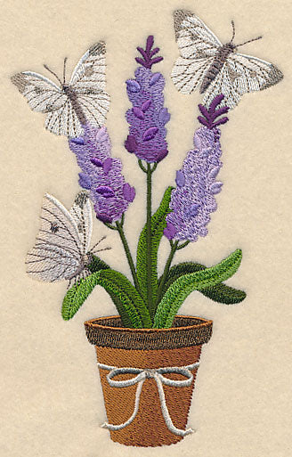 Lavender and Butterfly in Pot