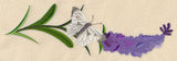 Lavender and Butterfly Horizontal Border
