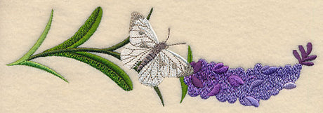 Lavender and Butterfly Horizontal Border