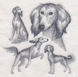 Saluki Sketch