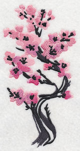 Cherry Blossoms in Bloom Tree