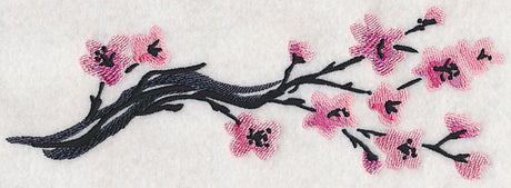 Cherry Blossoms in Bloom Branch