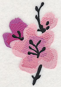 Cherry Blossoms in Bloom