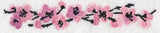 Cherry Blossoms in Bloom Border