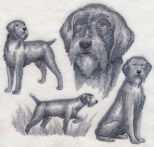 Wirehaired Pointing Griffon Sketch (Docked Tail)