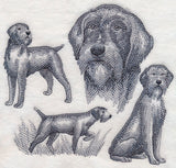 Wirehaired Pointing Griffon Sketch (Docked Tail)
