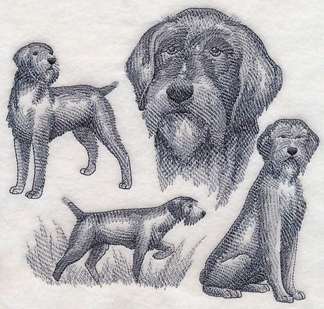 Wirehaired Pointing Griffon Sketch (Docked Tail)