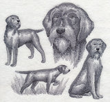 Wirehaired Pointing Griffon Sketch (Full Tail)
