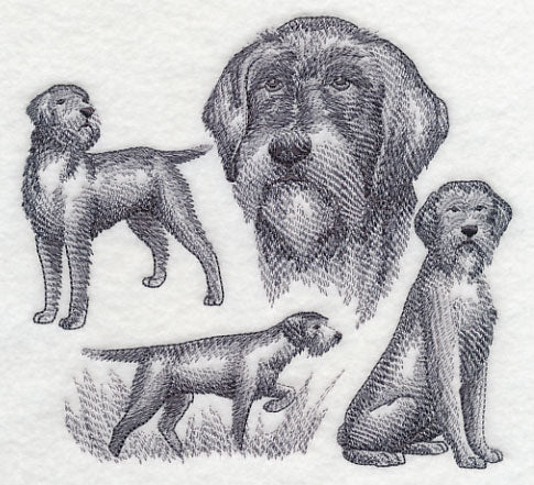 Wirehaired Pointing Griffon Sketch (Full Tail)