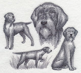 Wirehaired Pointing Griffon Sketch (Full Tail)