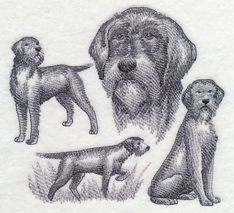 Wirehaired Pointing Griffon Sketch (Full Tail)