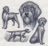 Wirehaired Pointing Griffon Sketch (Full Tail)