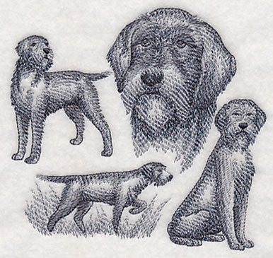 Wirehaired Pointing Griffon Sketch (Full Tail)