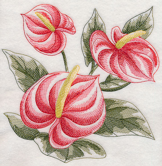 anthurium pencil drawing Anthurium Sketch – Embroidery Library