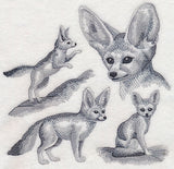 Fennec Fox Sketch