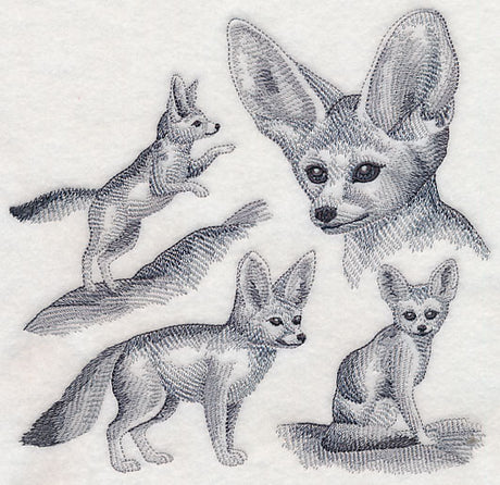 Fennec Fox Sketch