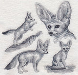 Fennec Fox Sketch