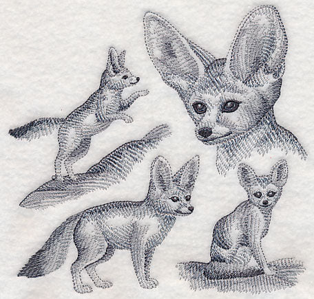 Fennec Fox Sketch