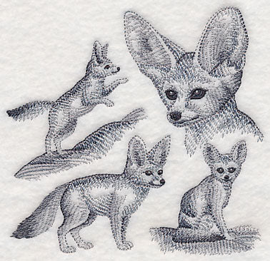 Fennec Fox Sketch