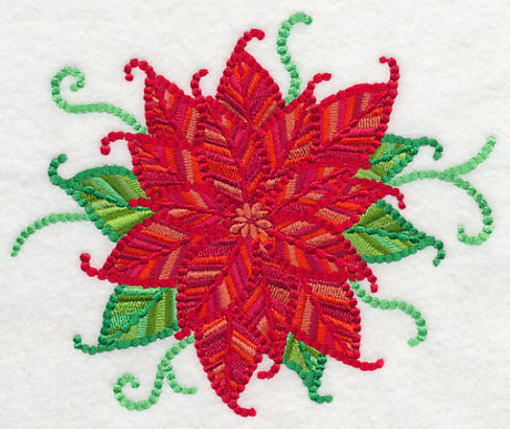 Delicate Christmas Poinsettia