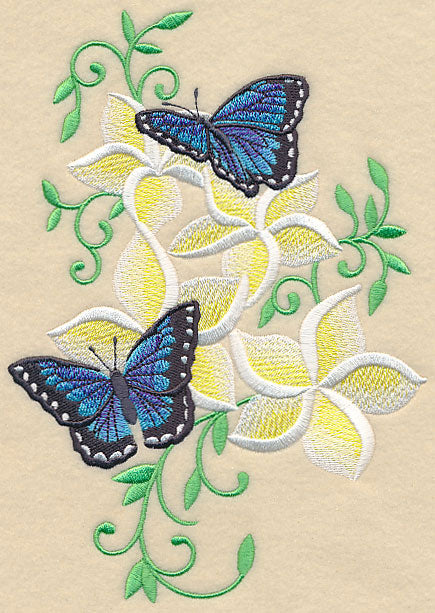 Frangipani and Butterflies