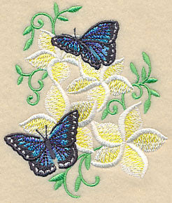 Frangipani and Butterflies