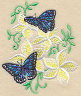 Frangipani and Butterflies