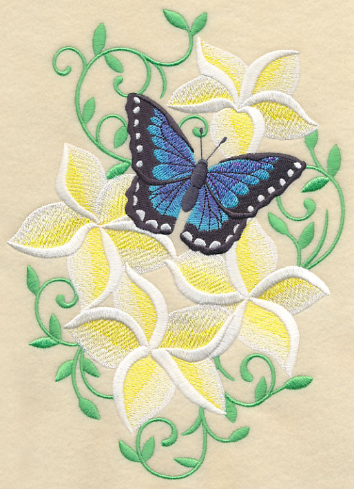 Frangipani and Butterfly