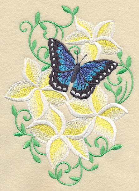 Frangipani and Butterfly